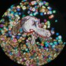 Khroma にゃ猫's profile picture