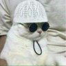 Profilbild von paul123lp