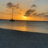 Lynne 🍀🍀🧜♀️🐡🐠🐟🌴🌴 profil fotoğrafı