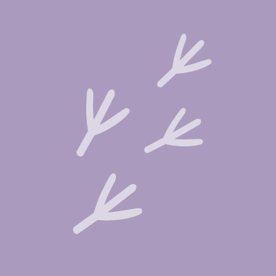 lanius's profile picture