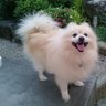 kei profil fotoğrafı