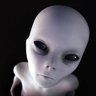 Фото профиля ⭐🇮🇹🎖️👽Alieno Grigio 👁️‍🗨️