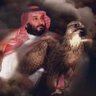 Profilbild von fares