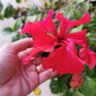 ``UM`❁`WAIL`` profil fotoğrafı