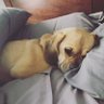 MJ2926's profile picture