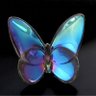 🦋kyary🦋☀︎'s profile picture