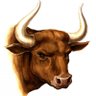 Profilbild von Amit Gupta