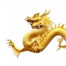 金龍 的头像