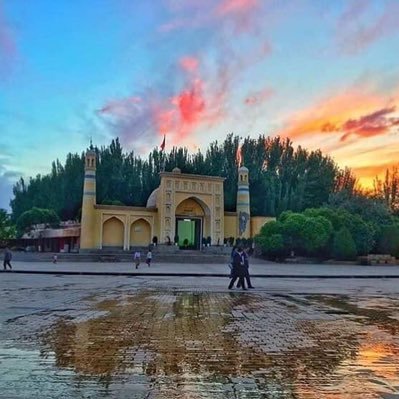 uygur53853043's profile picture