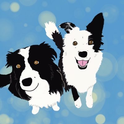 oreoreo0517's profile picture