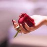 Фото профиля *﮼مشاعر وإحساس ﮼بنكهة أحكيها ﮼