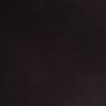 Fasulye's profile picture