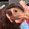 Christina profil fotoğrafı