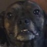 Profilbild von Jerry