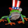 Lord of The Tree Frogs's profile picture