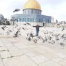 Фото профиля Hashim Mohammed