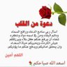 يحيى محمد الناشري's profile picture