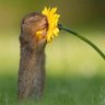 Lexi Young's profile picture