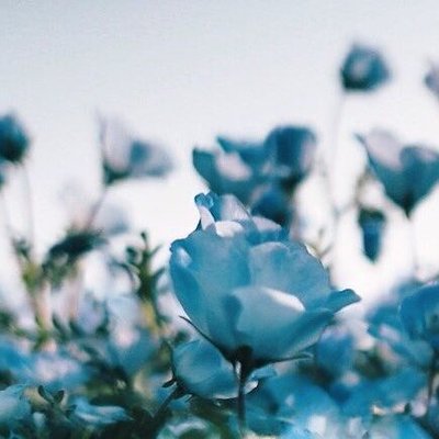wtsnkernsi's profile picture