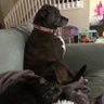 heyhihello's profile picture