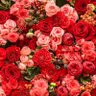 Фото профиля رضيت بالله ربا