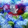 zeroj04 的头像