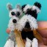 Profilbild von Coco & Skippy Mini Schnauzers