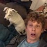 Mark Lester's profile picture