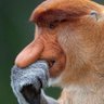 ZBit profil fotoğrafı