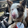 kenneth floyd 的头像