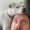Kris Carlson's profile picture