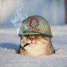 Фото профиля GI Tejano