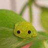 GnouhTLS's profile picture