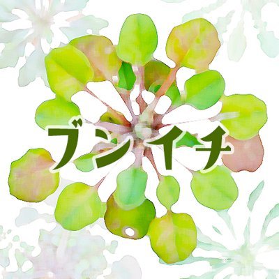 文一総合出版【公式】's profile picture