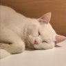 ポーキー profil fotoğrafı