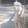 çkmzskk profil fotoğrafı