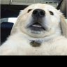 mommo's profile picture