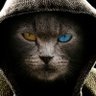 Profilbild von Leo Teoh