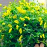 Фото профиля よむちゃ【憲法改悪手前です!!!】
