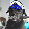 Poppy_The_Sailor_Dog's profile picture