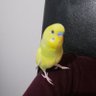 KingSlayer🇹🇷 profil fotoğrafı