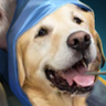 Фото профиля Ascendancy[BTC&Dota2]