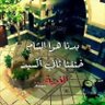 Sheer Syr profil fotoğrafı