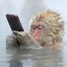 Macmuttovic profil fotoğrafı