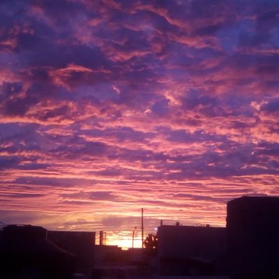 Megm12345's profile picture