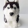 Profilbild von 電脳ハスキー(Cyber Husky)