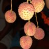Фото профиля md shamshad