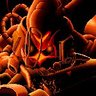 Gaowing's profile picture
