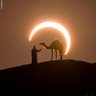 أهلاً وسهلاً profil fotoğrafı