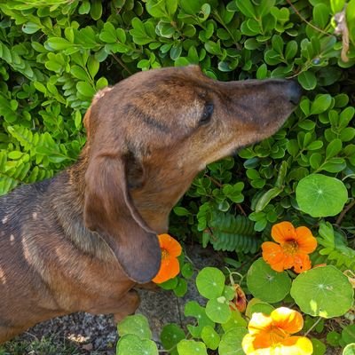 mitrajoon246071's profile picture